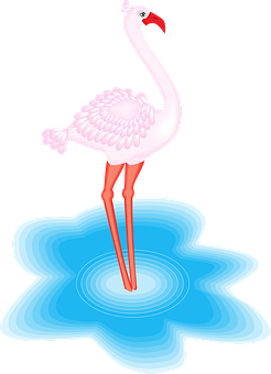 Pink Flamingo Standingin Water PNG