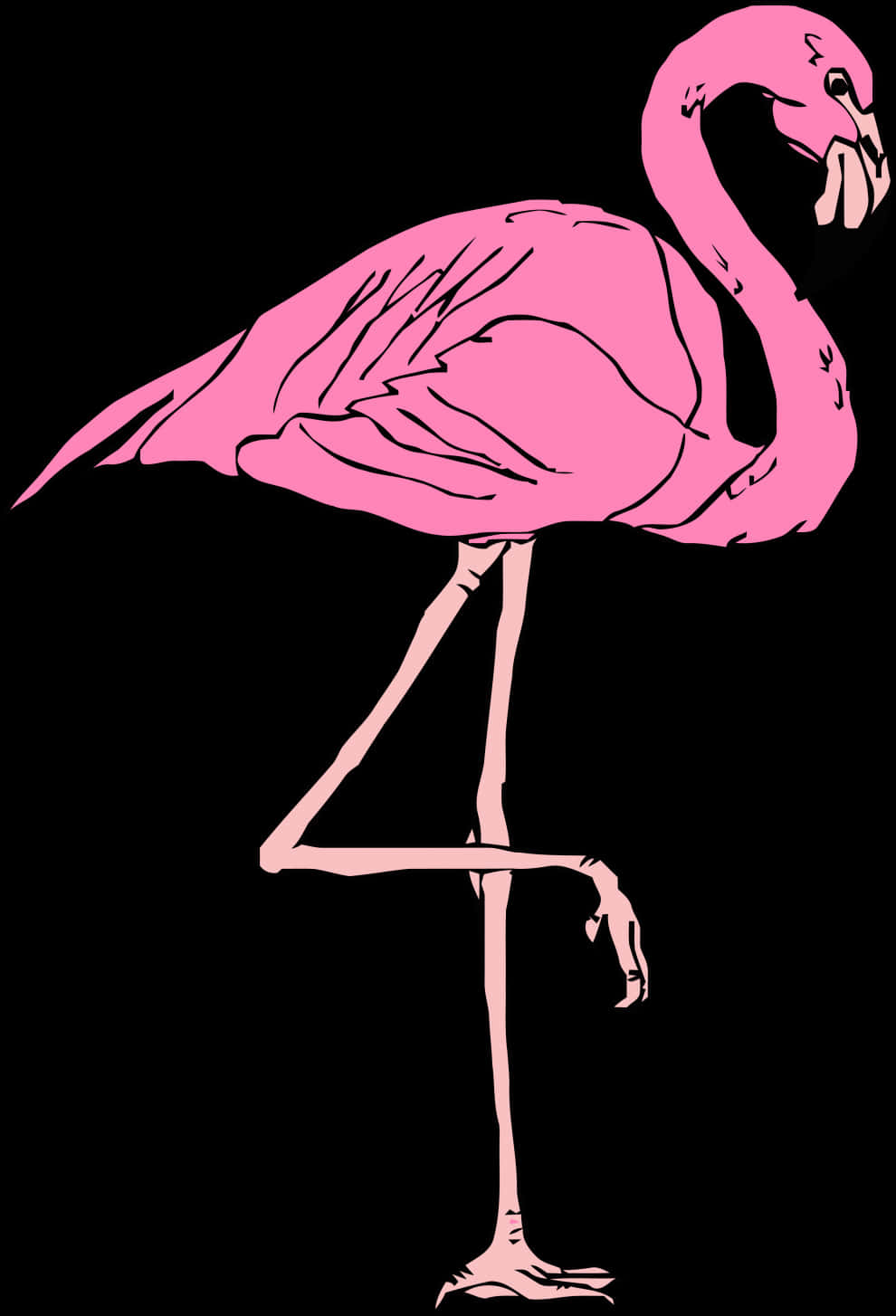 Pink Flamingo Vector Art PNG