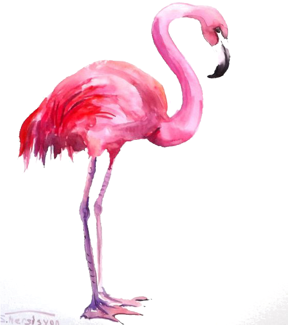 Pink Flamingo Watercolor Artwork PNG