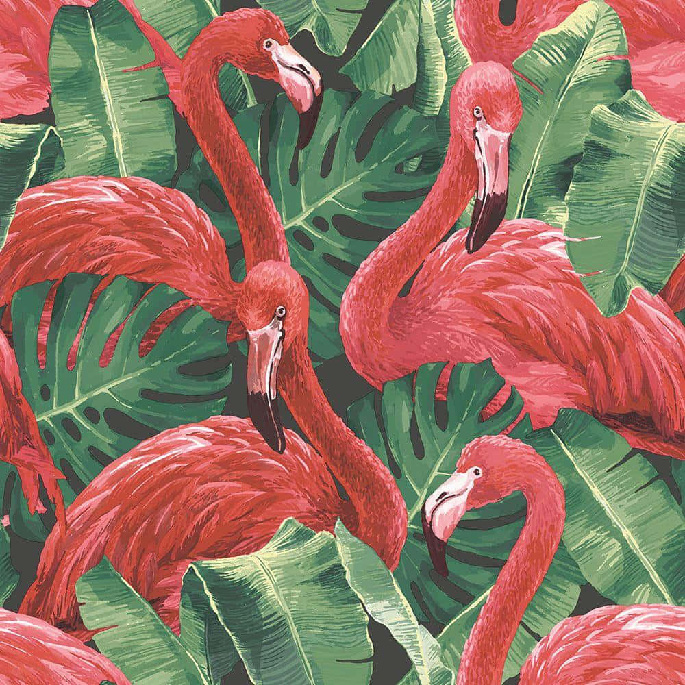 A group of vibrant pink flamingos standing in water with a colorful, serene backdrop Wallpaper