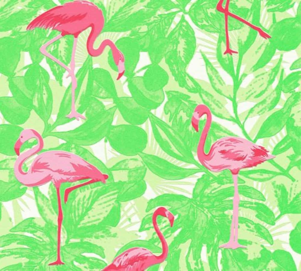A Flock of Pink Flamingos Gathered Around a Lake Wallpaper