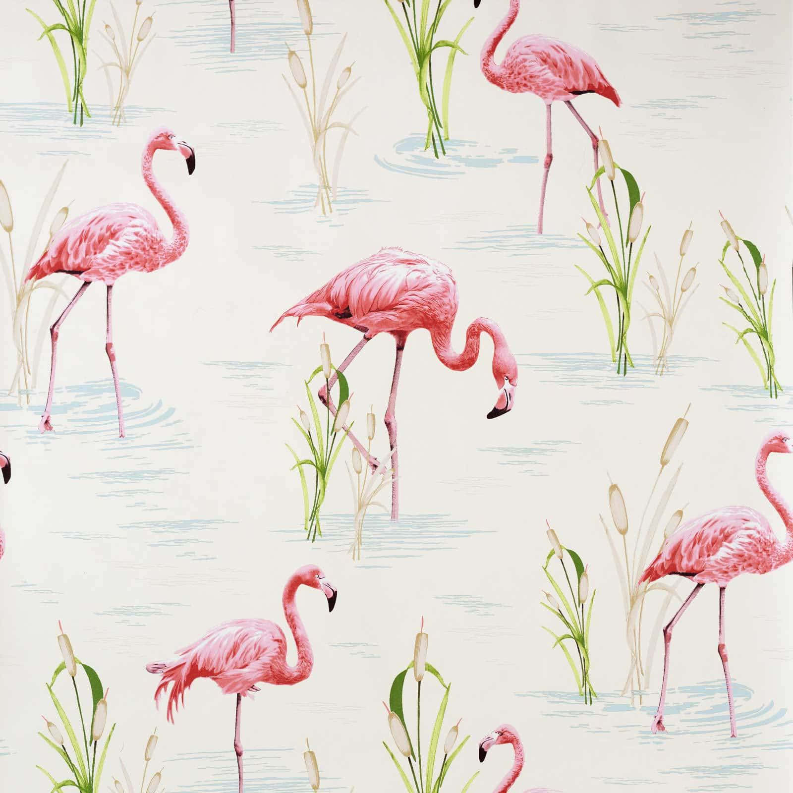 Flock of Pink Flamingos on Lake Shore Wallpaper