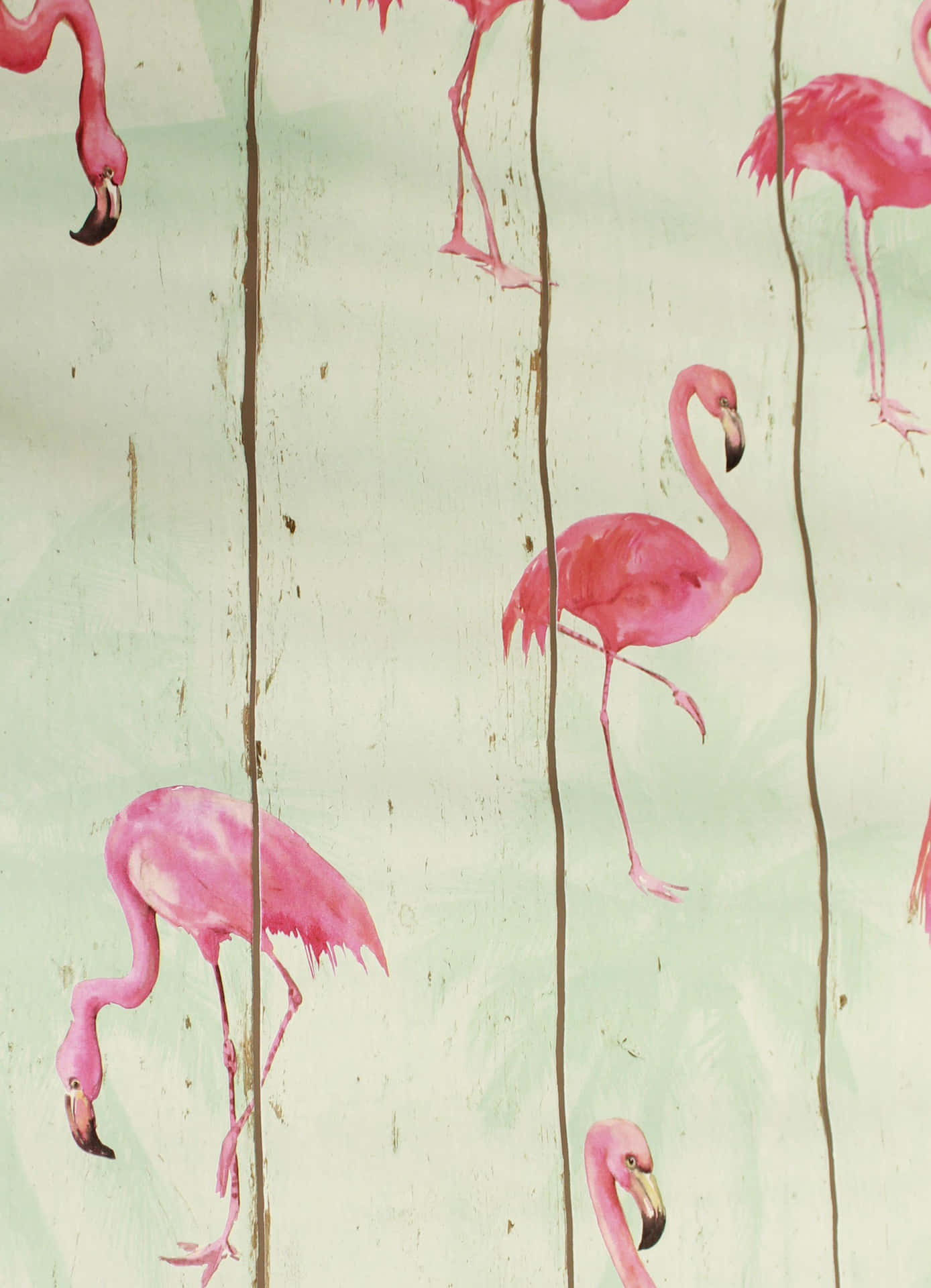 A graceful pink flamingo amid a serene natural habitat Wallpaper