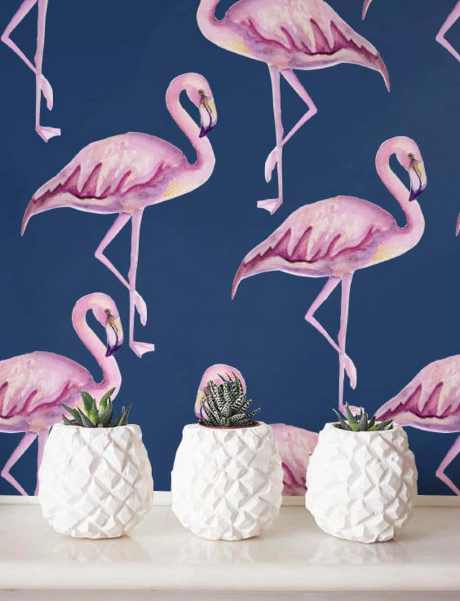 A group of beautiful pink flamingos standing in shallow water Wallpaper