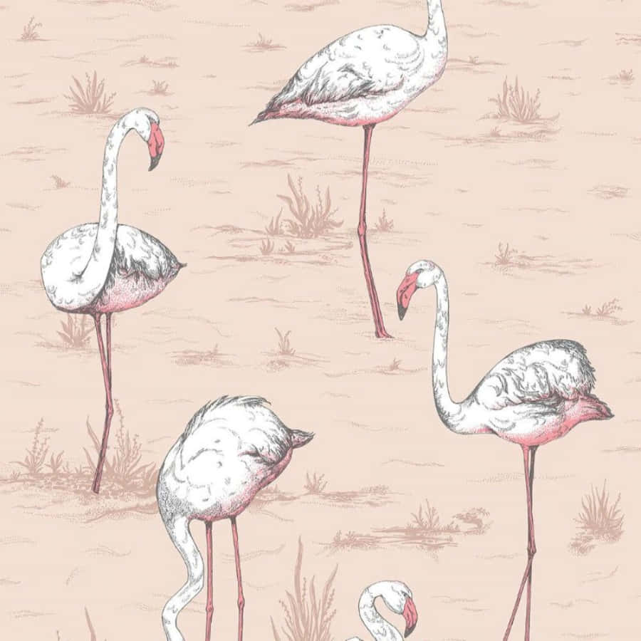 A Group of Graceful Pink Flamingos Wallpaper
