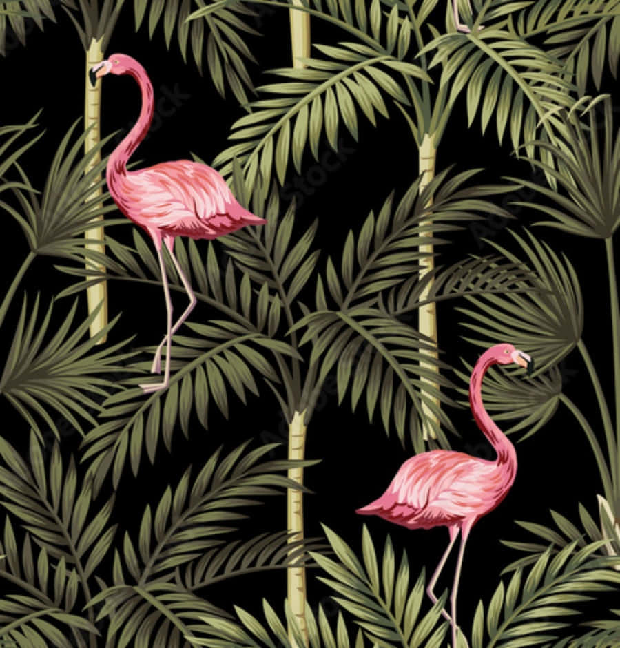 A Graceful Pair of Pink Flamingos Wallpaper