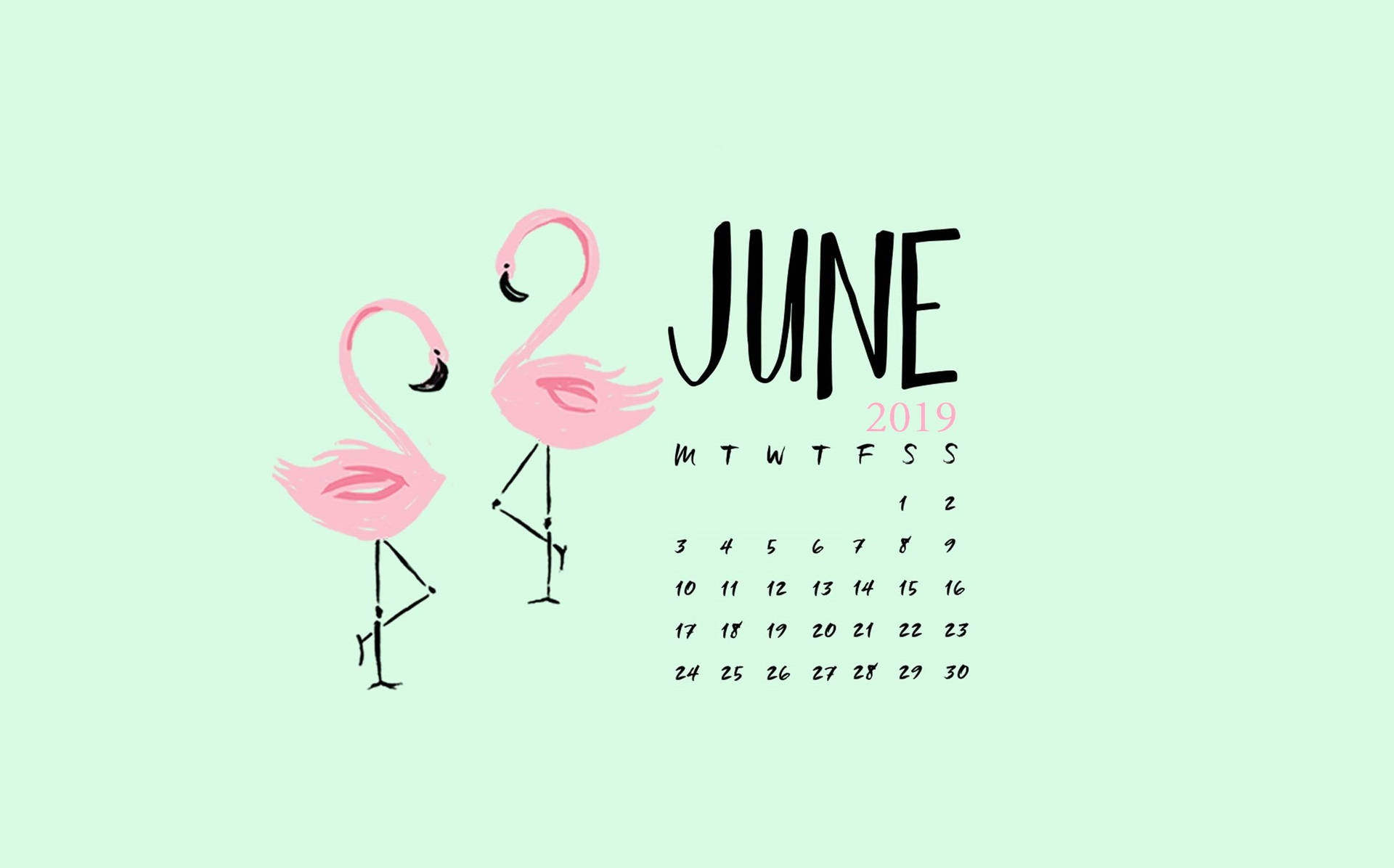 Pink Flamingos June Calendar 2019