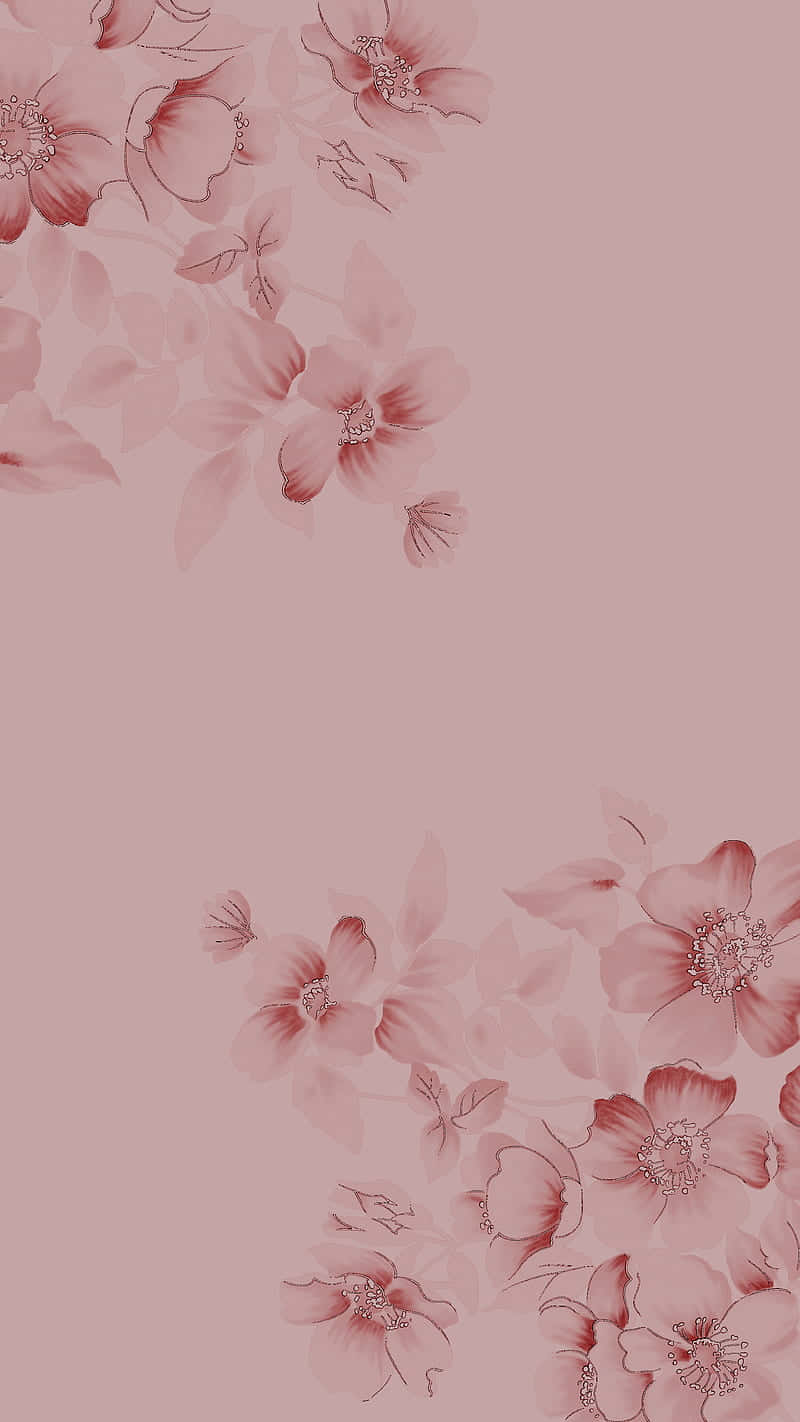 Pink_ Floral_ Aesthetic_ Background.jpg Wallpaper