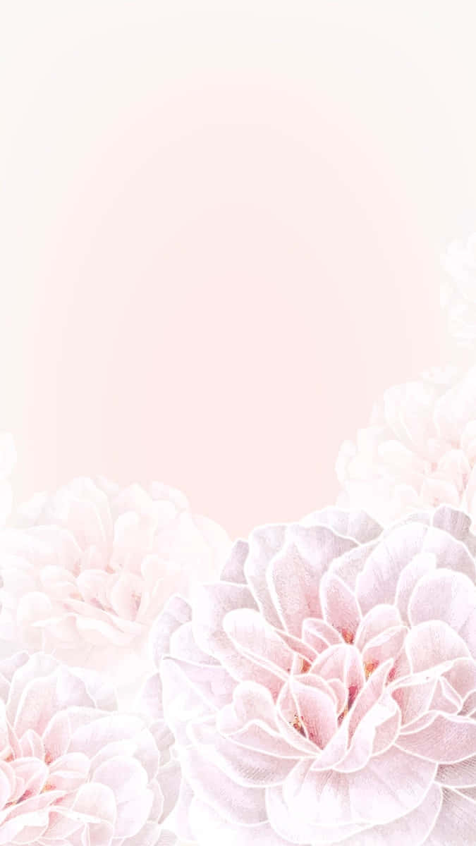 Pink Floral Rose Design Wallpaper