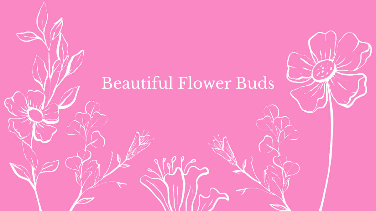 Pink Floral Background Design Wallpaper