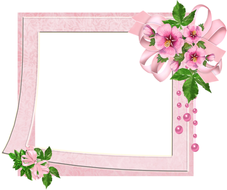 Pink Floral Decorative Border PNG
