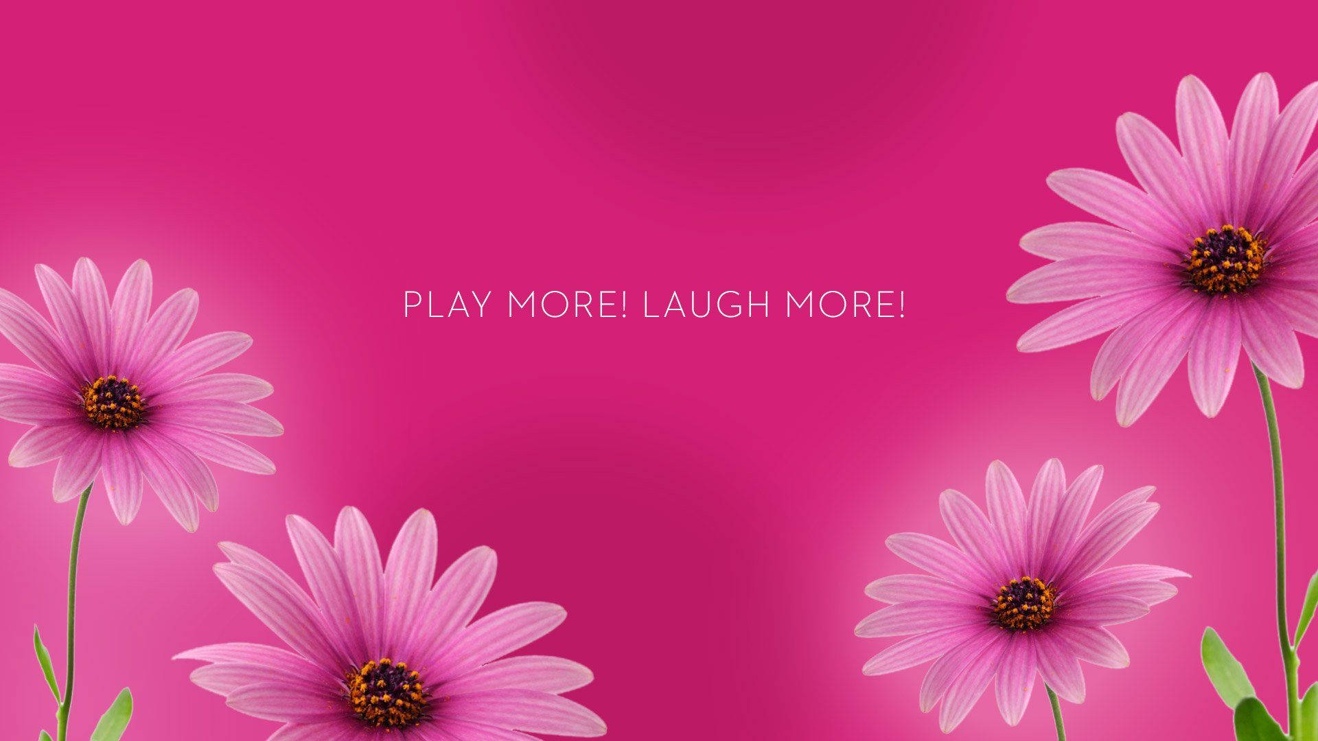 Pink Floral Desktop With Quote Wallpaper