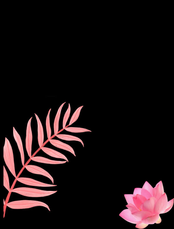 Pink Floral Element Black Background PNG