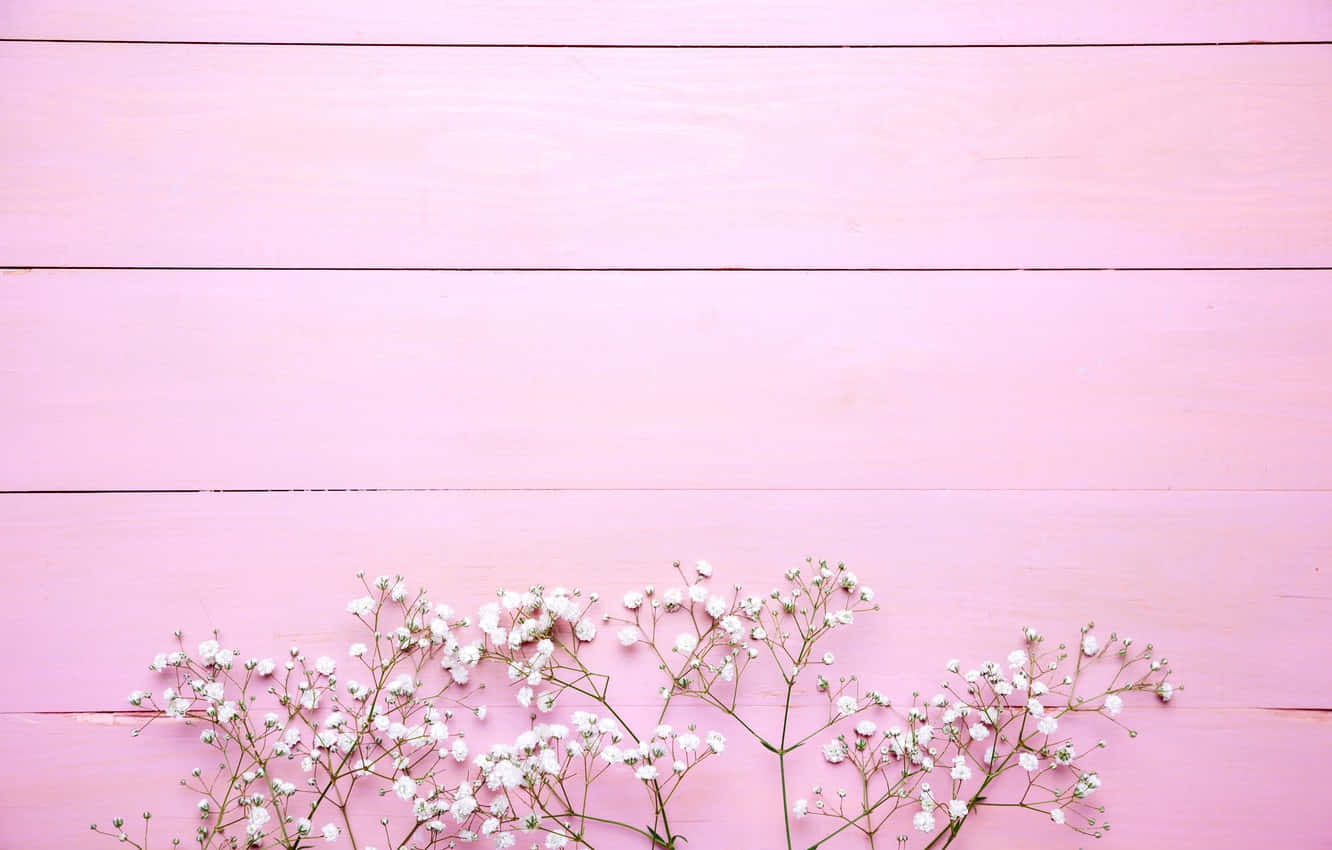 A burst of pink brings life to your backyard! Wallpaper