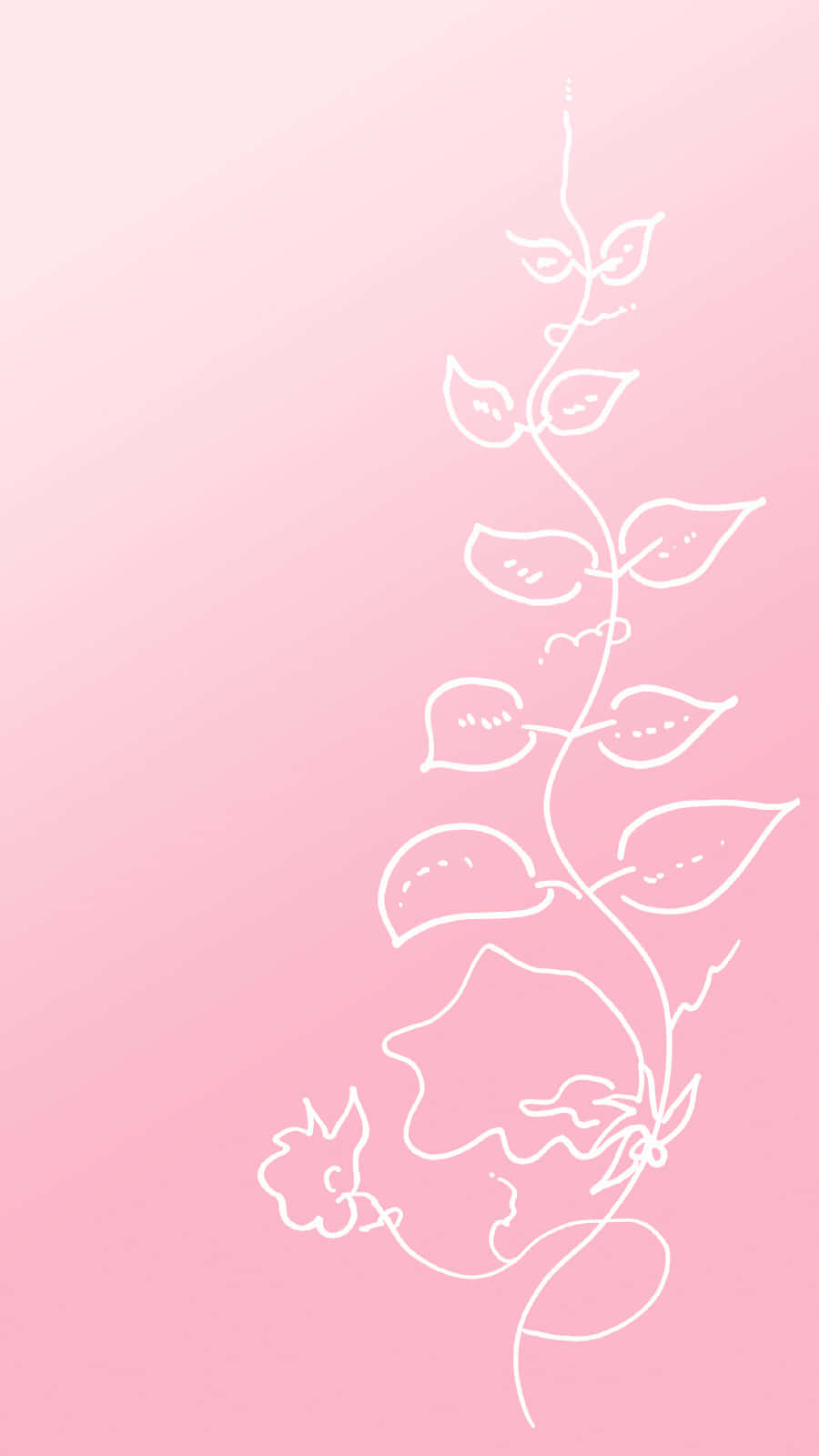Pink_ Floral_ Outline_ Background Wallpaper