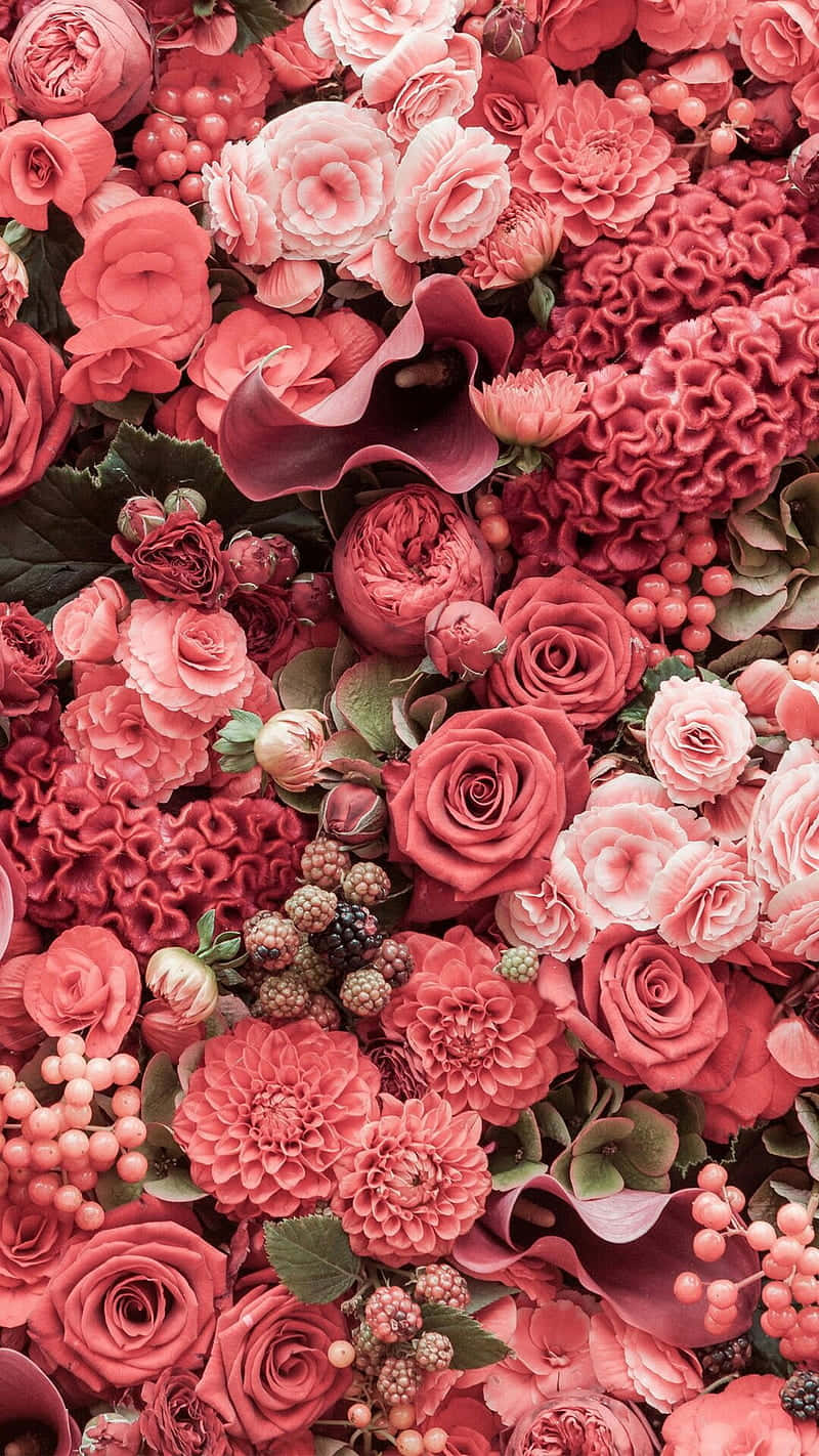 "Spread the love with this vibrant Pink Floral bouquet!" Wallpaper
