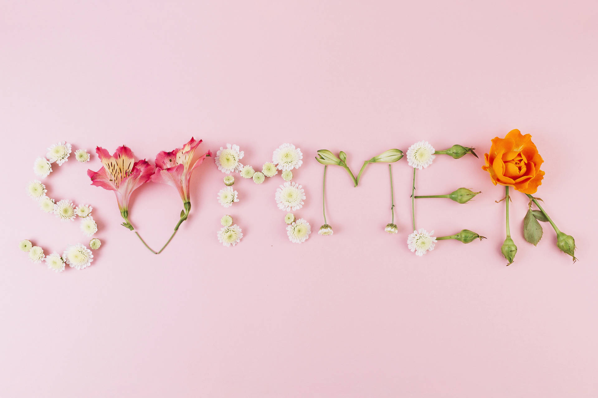 Pink Floral Summer Desktop Wallpaper