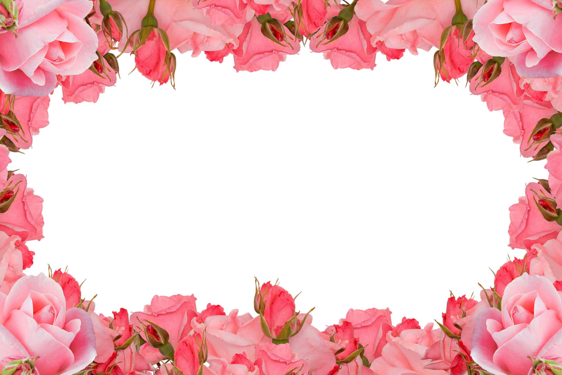 Pink Floral Roses Design Wallpaper