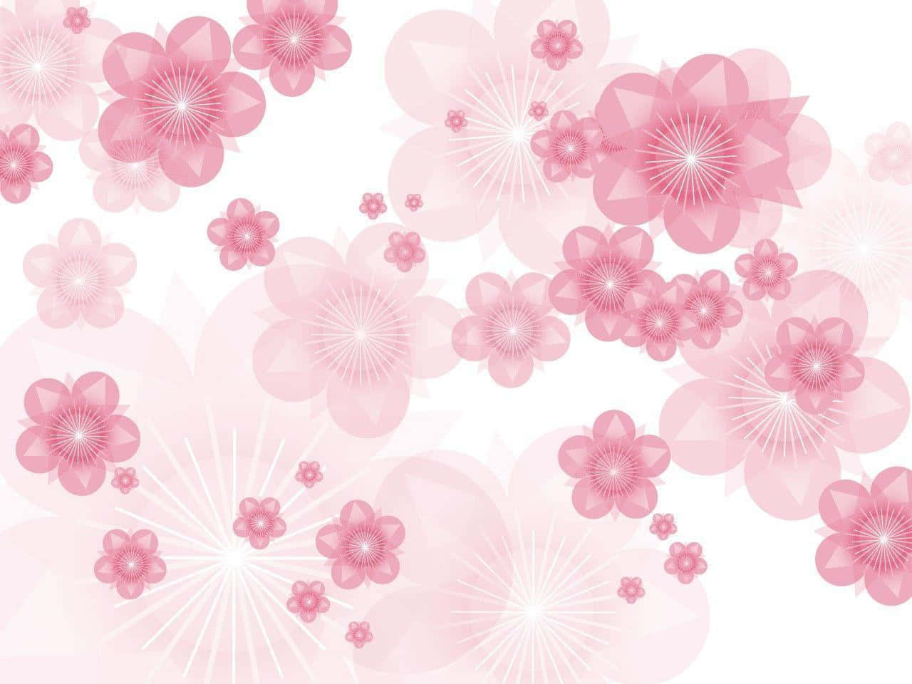 A Pink Flower Background With White Flowers
