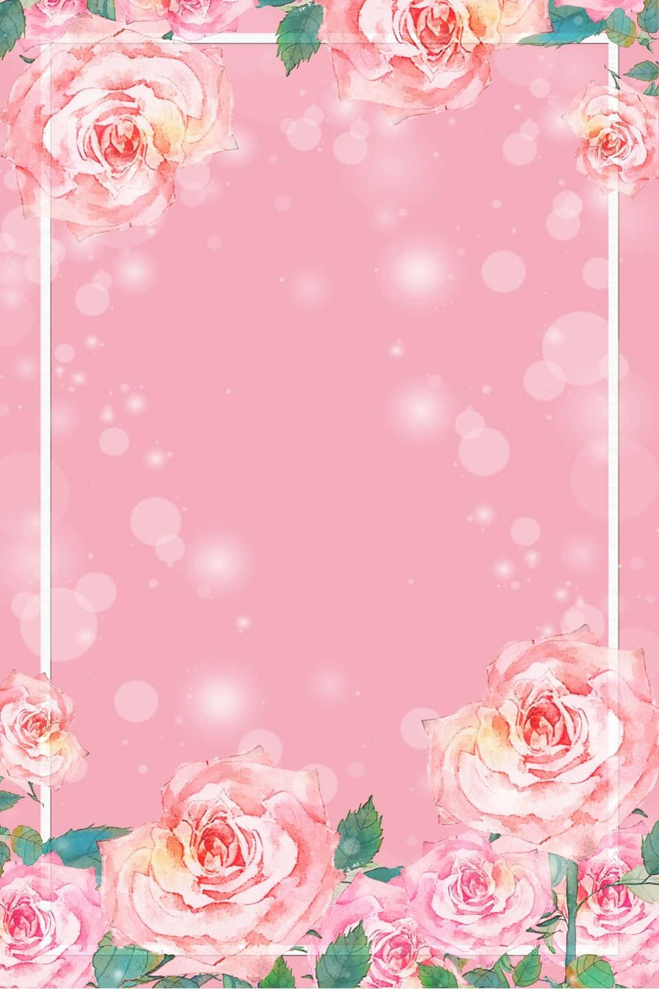 Unbellissimo Fiore Rosa Su Uno Sfondo Celeste