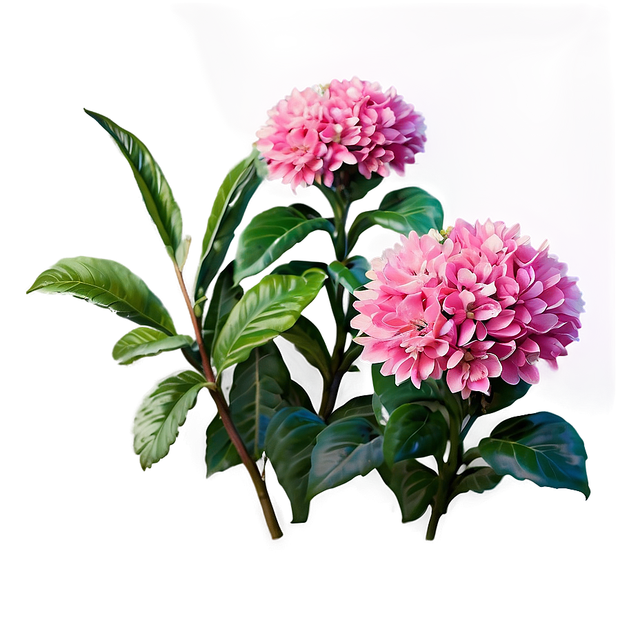 Pink Flower Bush Png 06122024 PNG