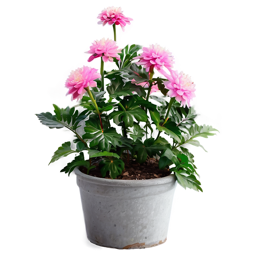 Pink Flower Bush Png 24 PNG