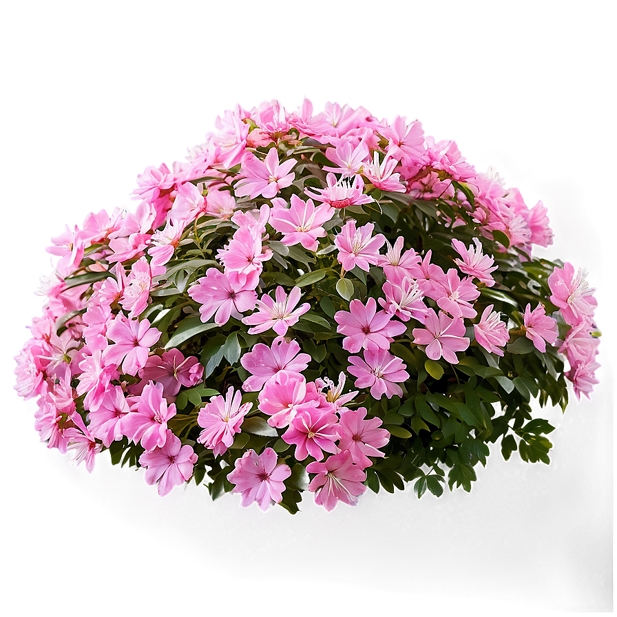 Pink Flower Bush Png Djg84 PNG