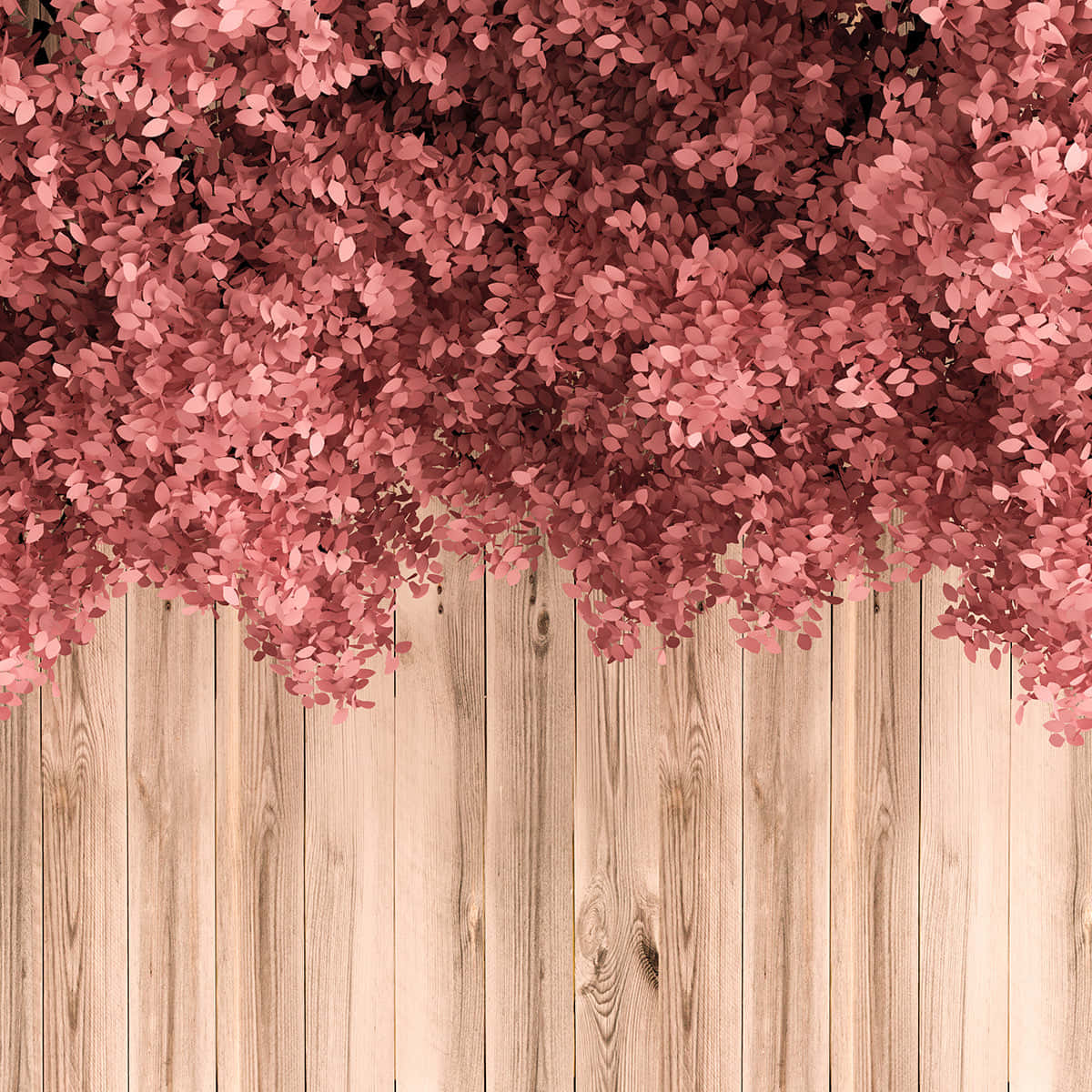 Pink Flower Cascade Wooden Background Wallpaper