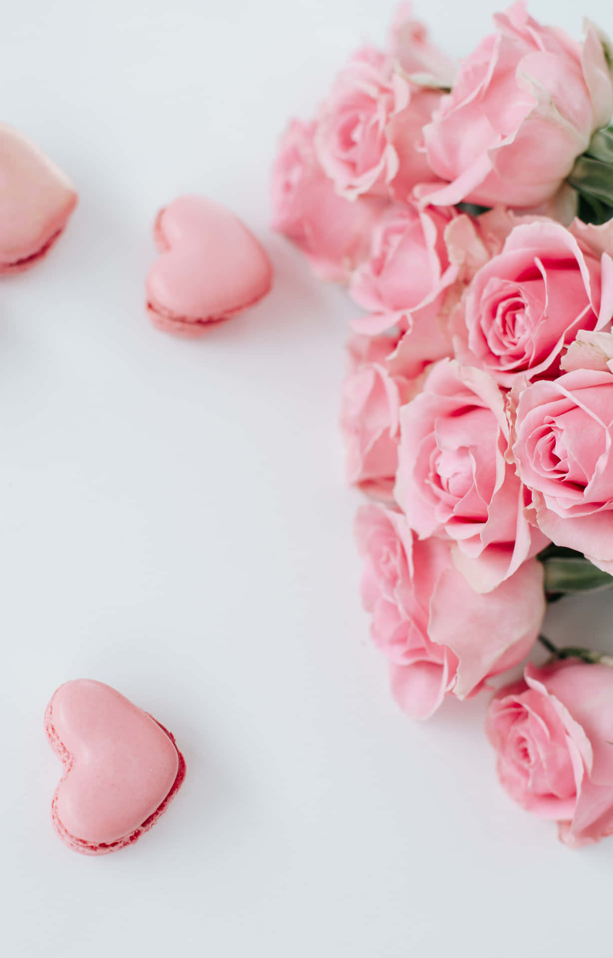Pink Roses And Macarons On A White Background Wallpaper
