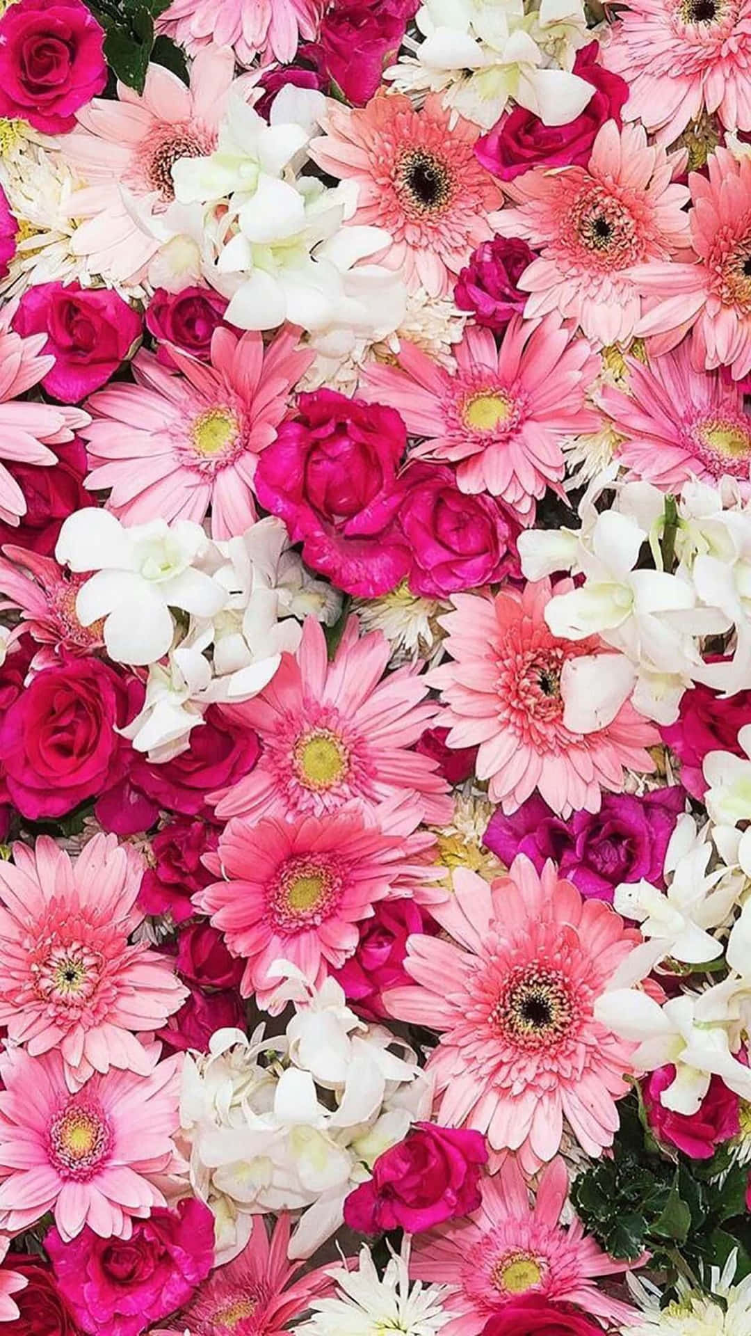 Pink And White Flowers Are Arranged In A Bouquet Wallpaper