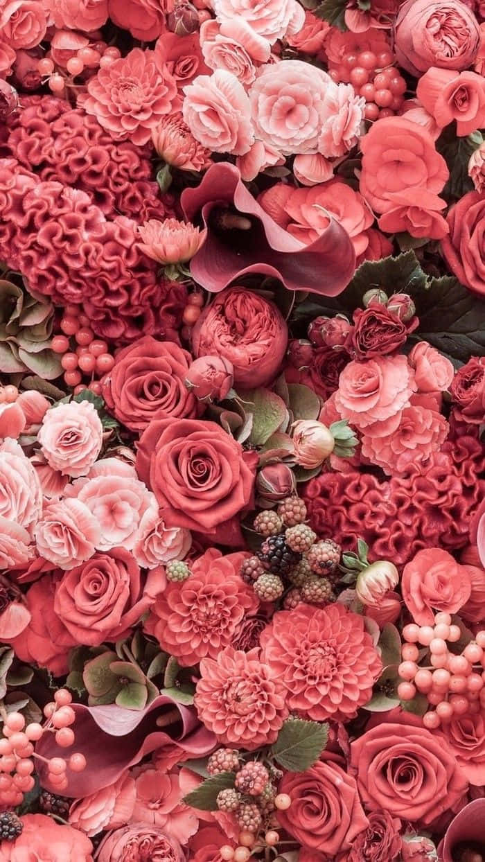 Unpatrón De Flores Rojas Con Muchas Flores Rojas Fondo de pantalla