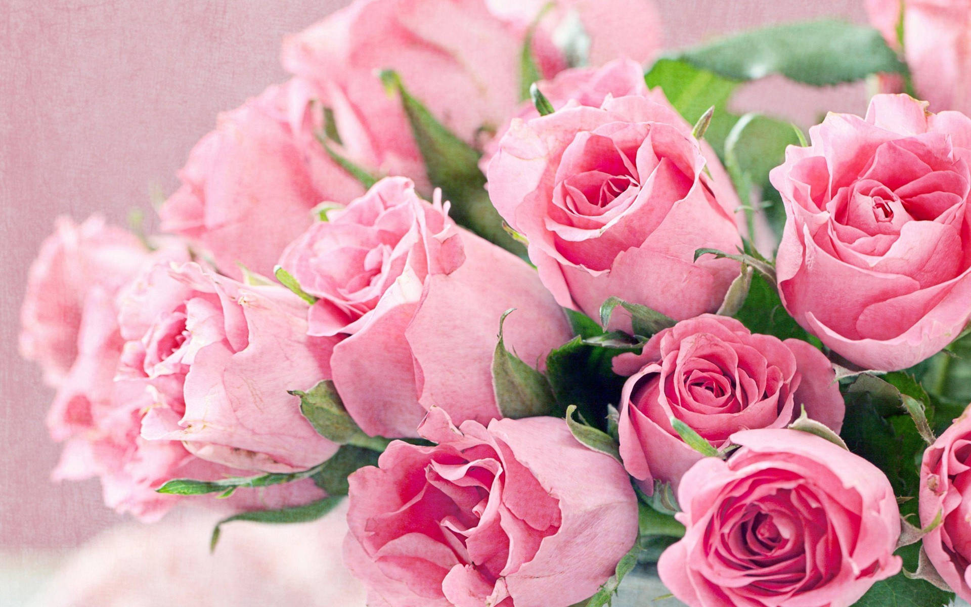 Pink Flower Rose Bouquet Wallpaper