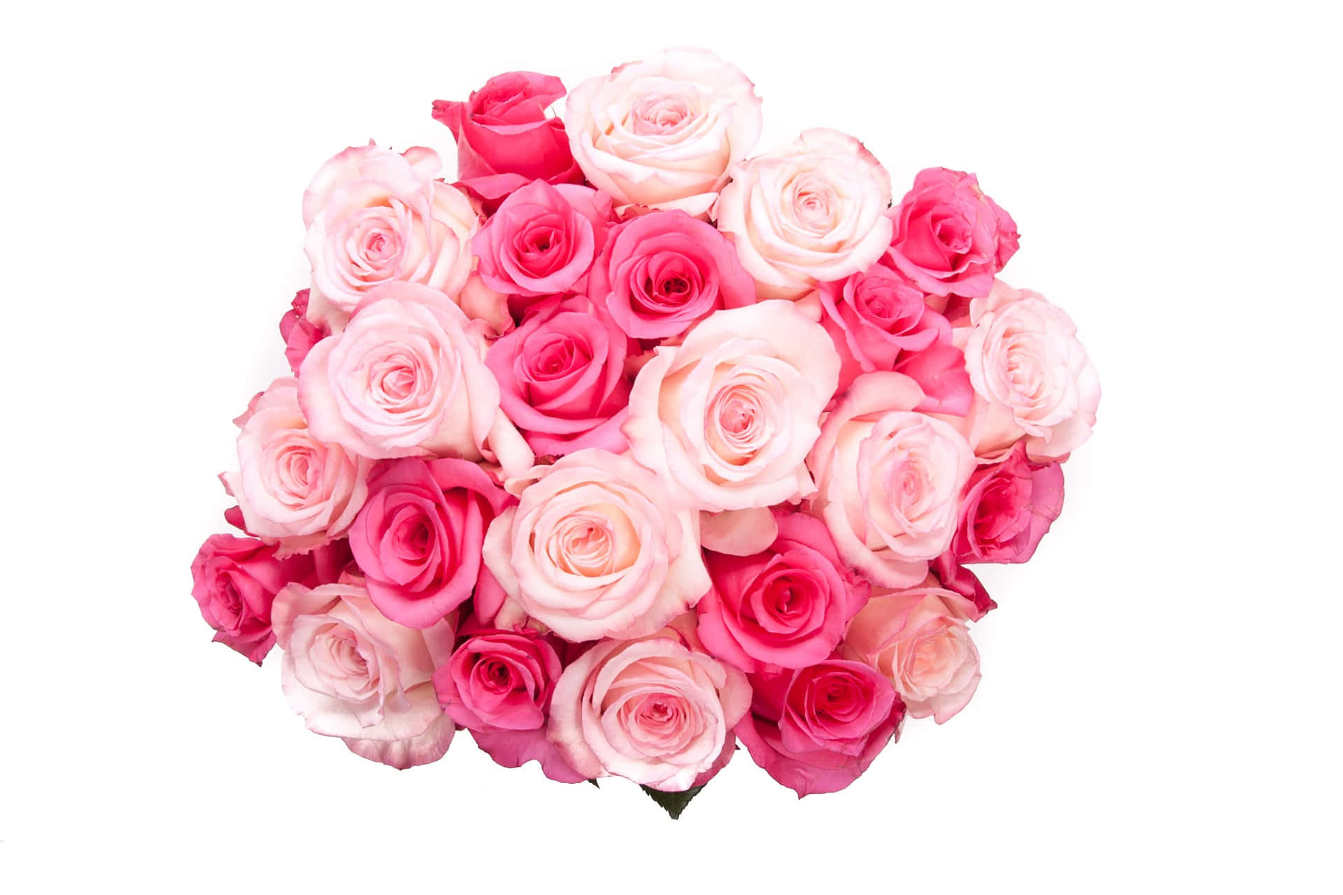 Pink Flower Rose Bouquet Wallpaper