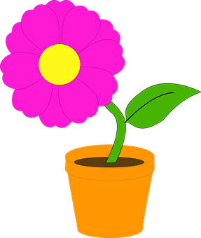 Pink Flowerin Pot Vector Illustration PNG
