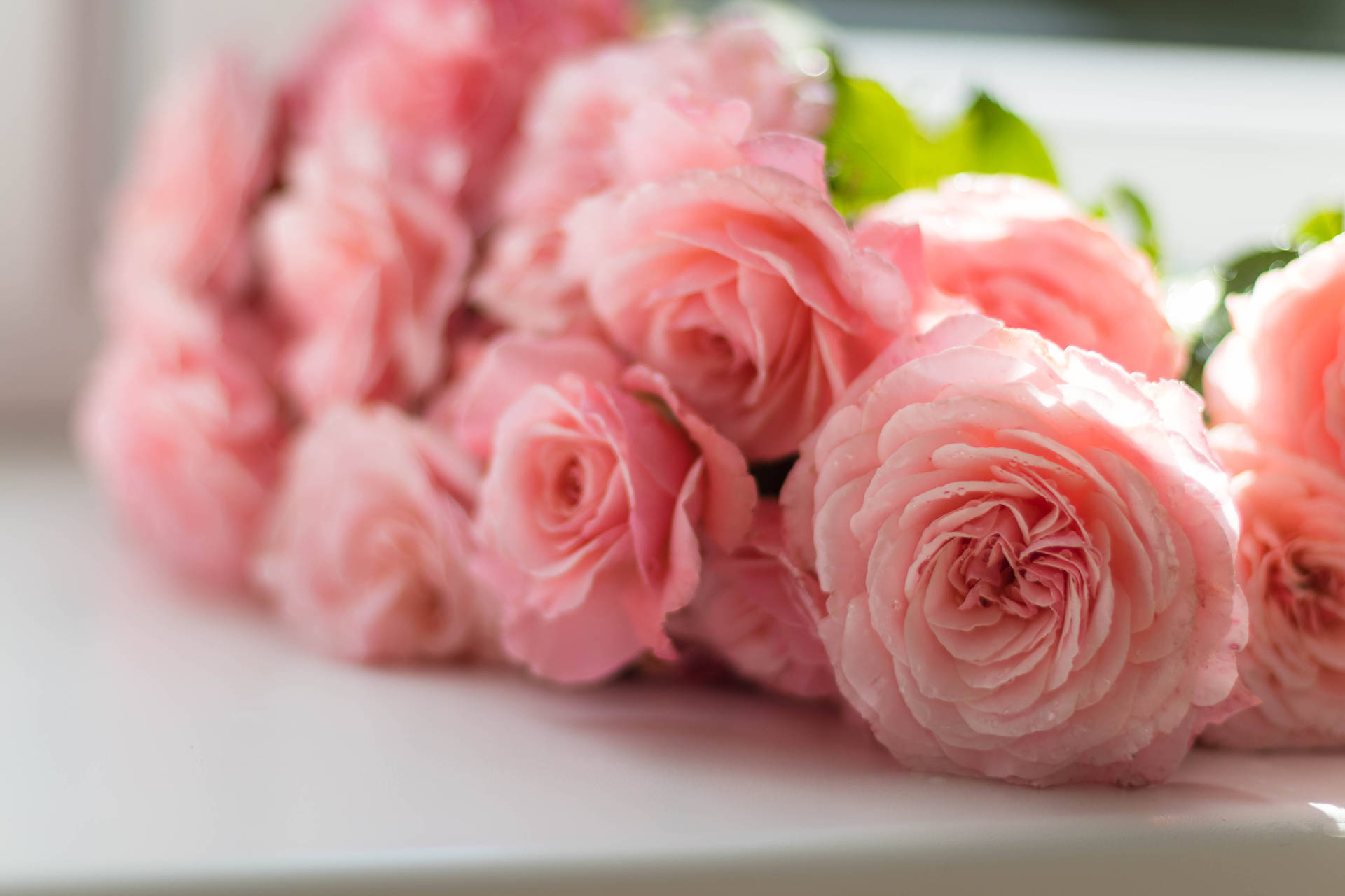 Pink Flowers Aesthetic Roses On Table Wallpaper