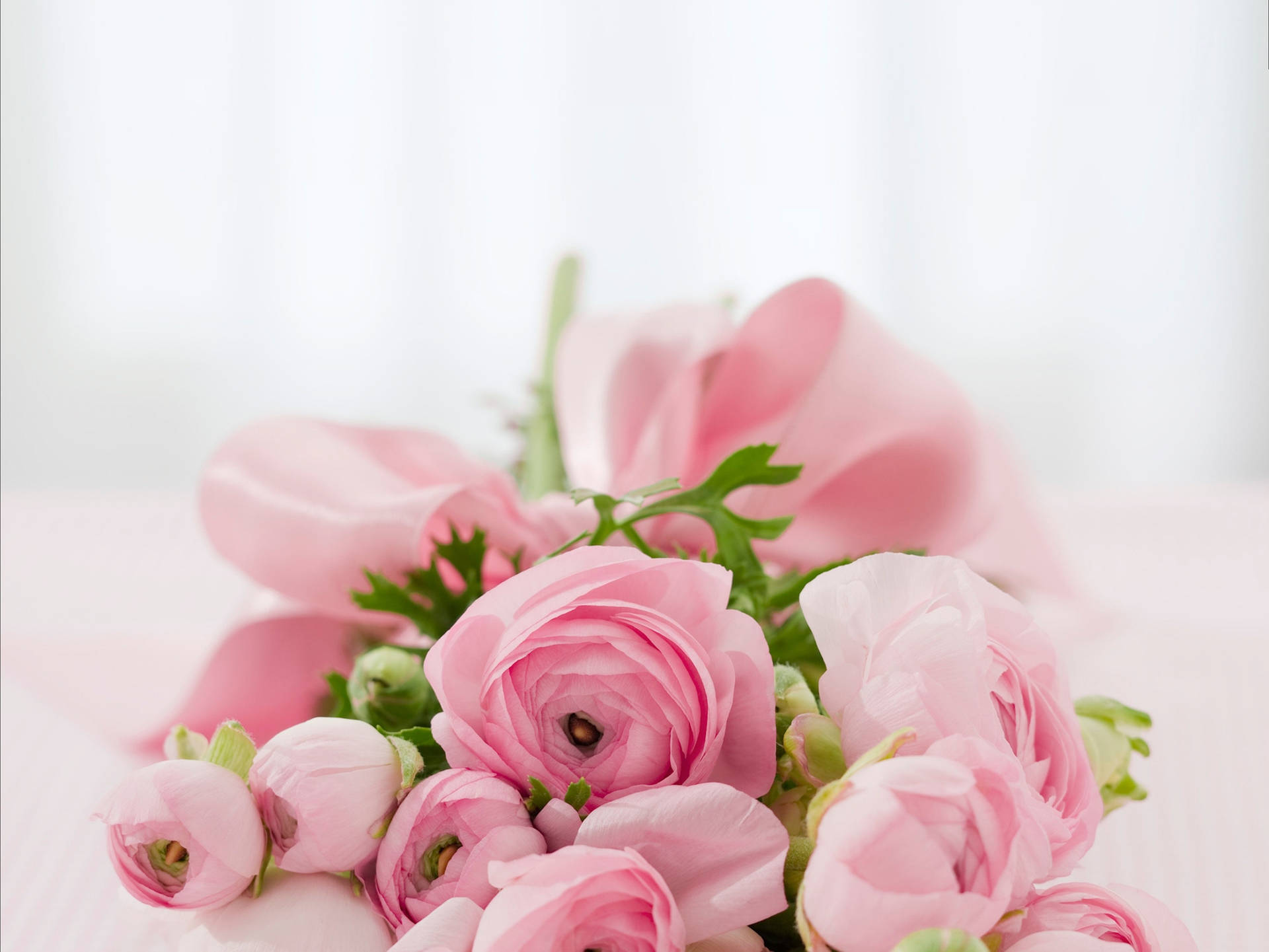 Pink Flowers Aesthetic With Bow Wallpaper