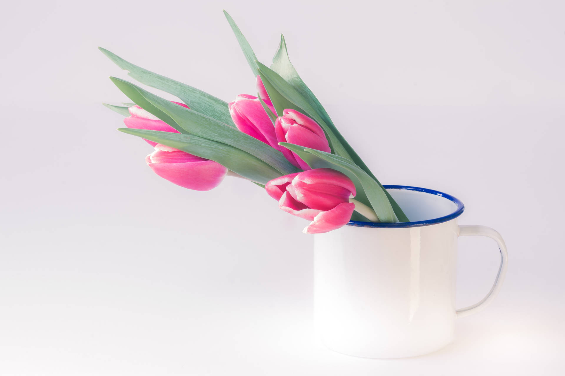 Pink Flowers Aesthetic With Enamel Mug Wallpaper