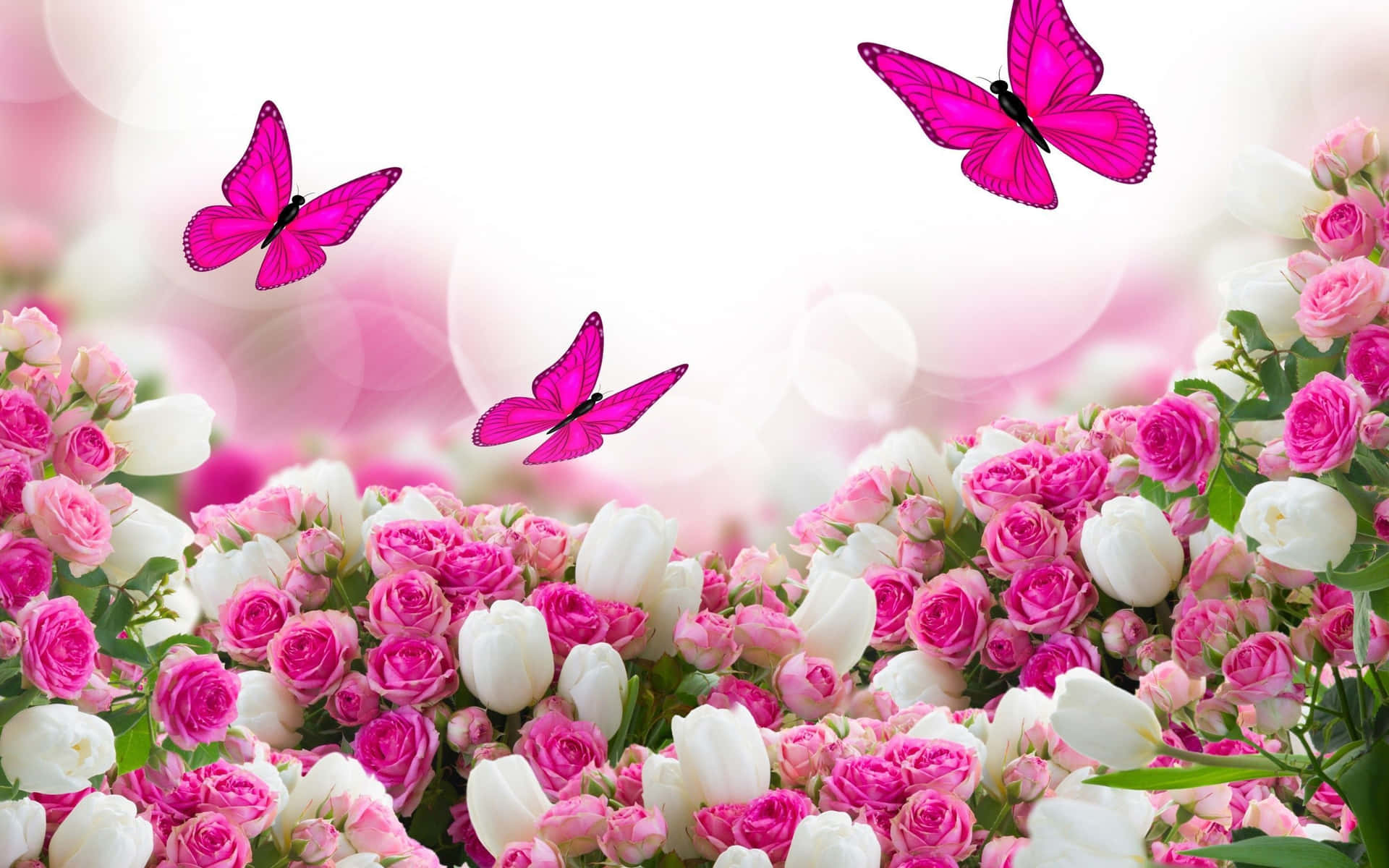 Pinkog Hvide Blomster Med Sommerfugle.