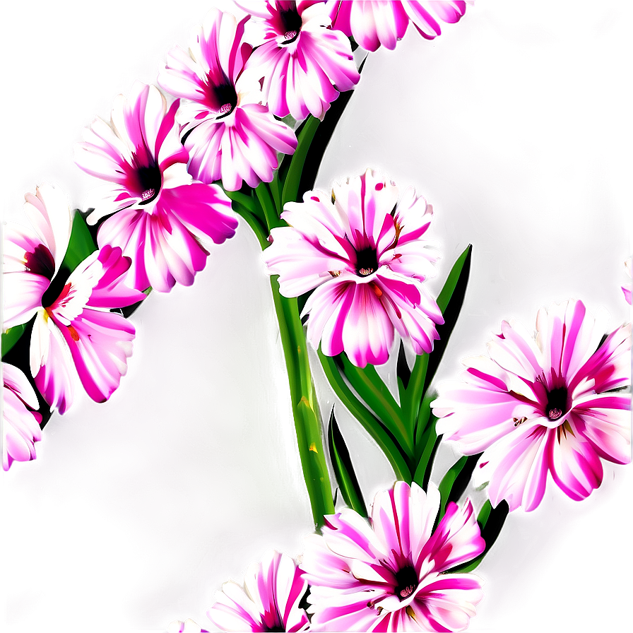 Pink Flowers Closeup Png Mxu PNG