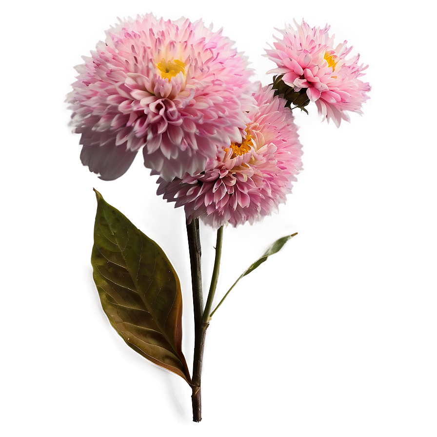 Pink Flowers Cluster Png Bkq PNG