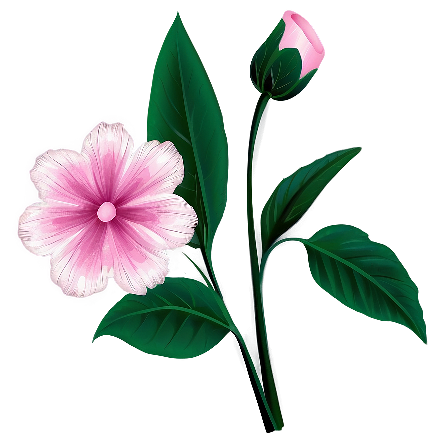 Pink Flowers Drawing Png Wcn46 PNG