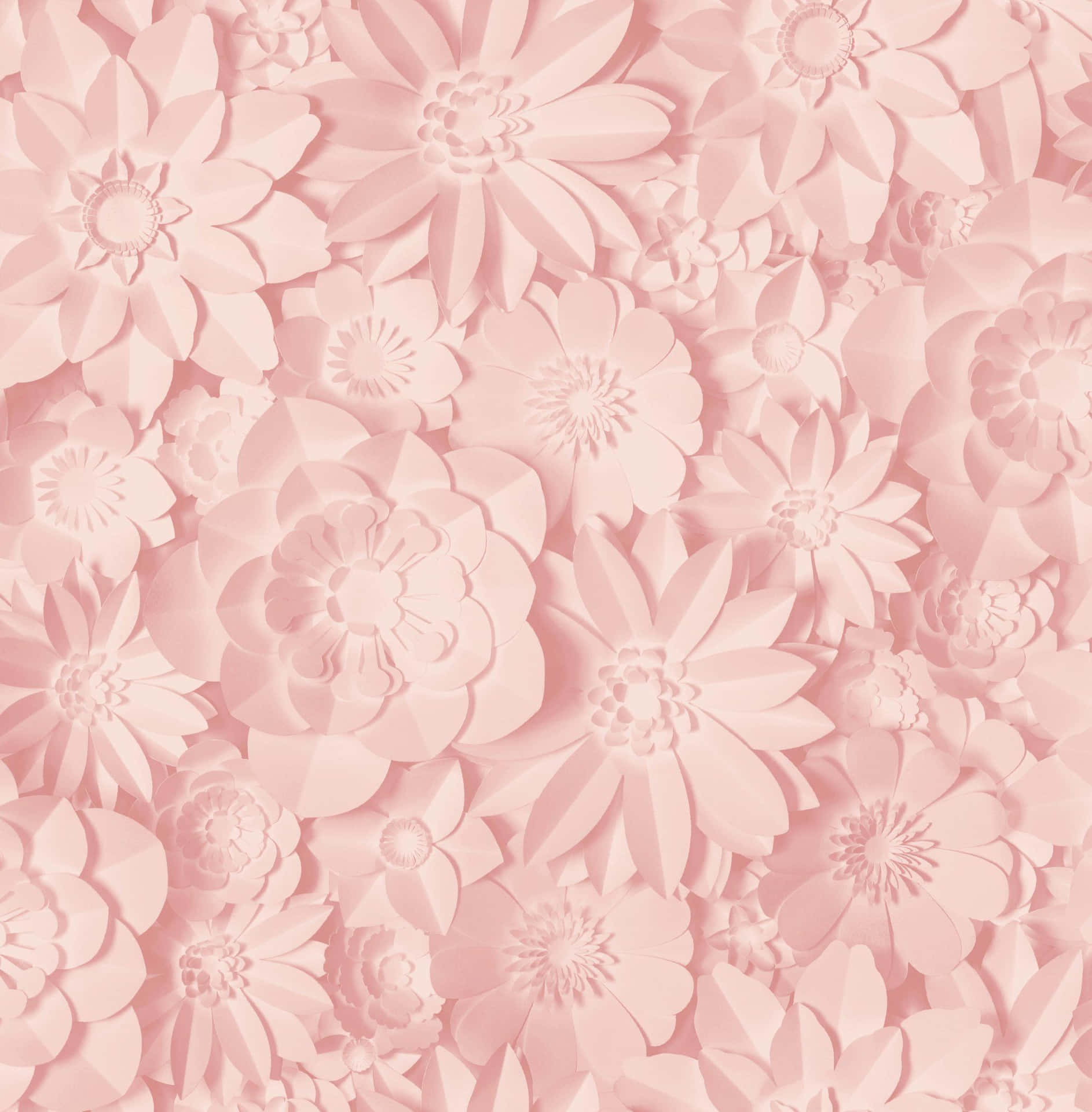 Pink Flowers Hd Pattern Wallpaper