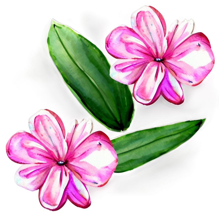 Pink Flowers Watercolor Png Uul PNG