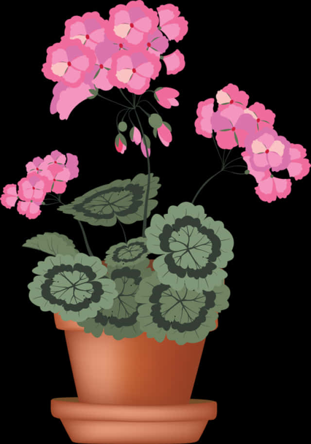 Pink Flowersin Terracotta Pot Illustration PNG