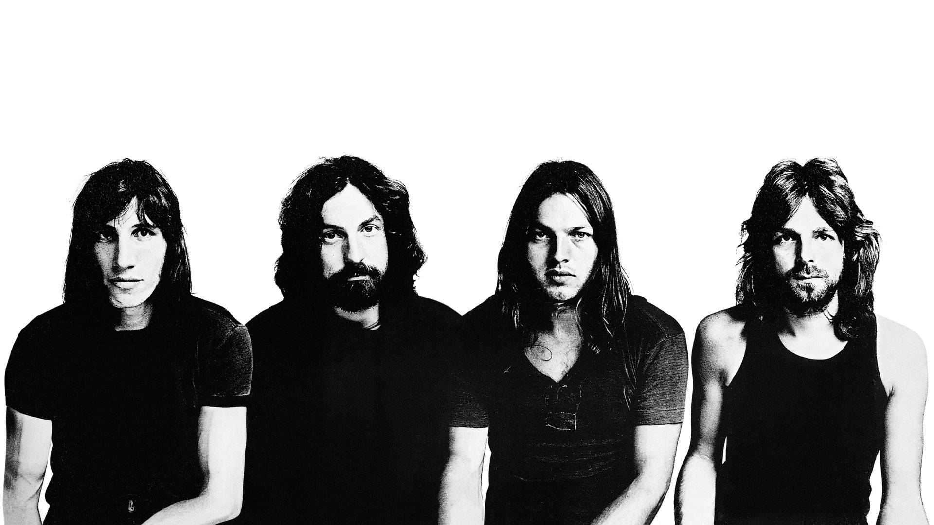 Pink Floyd 4k Monochrome On White Wallpaper