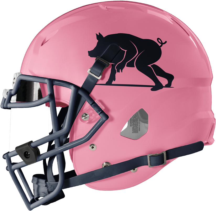 Pink Football Helmetwith Panther Logo PNG