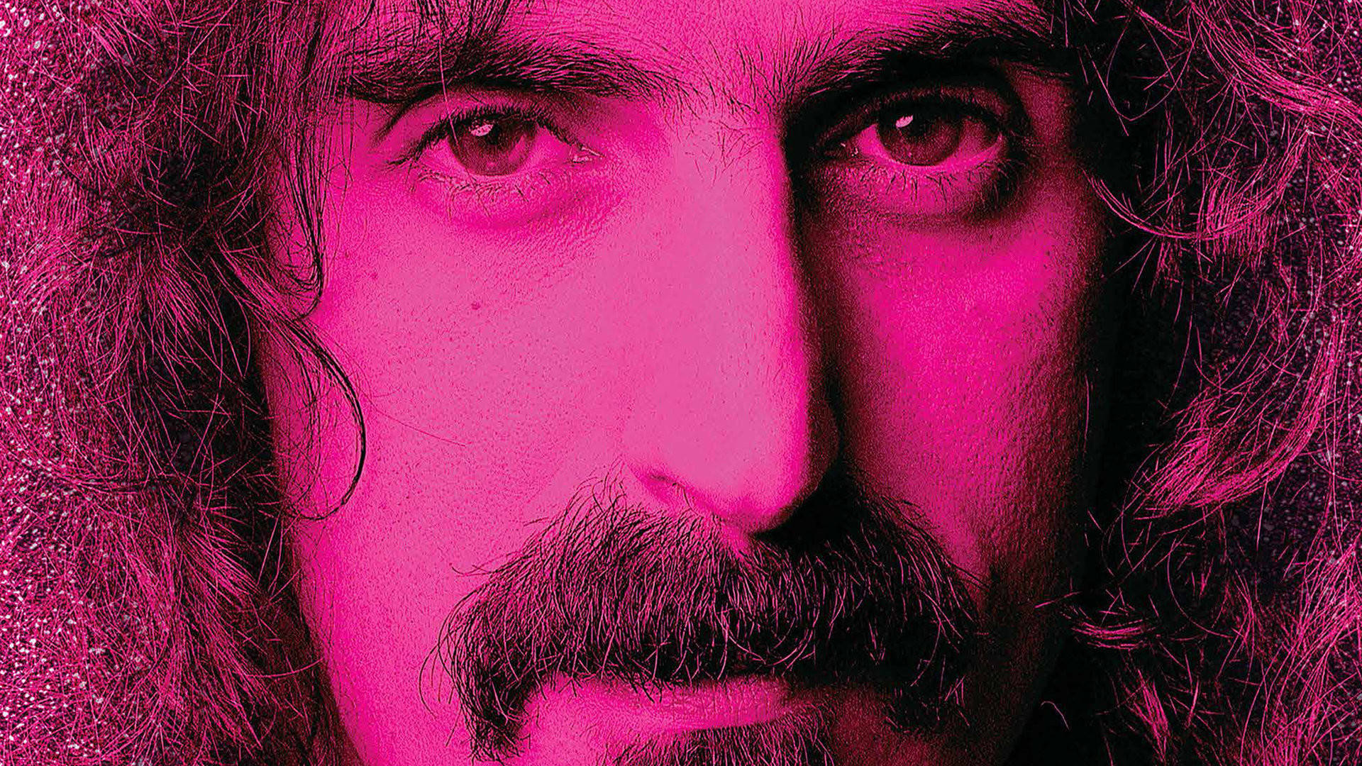 Pink Frank Zappa plakater skaber et energisk og farverigt miljø. Wallpaper