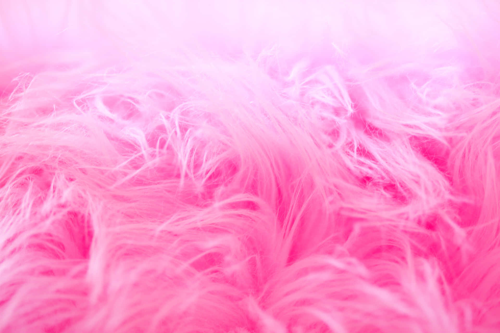 Pink Fur Picture