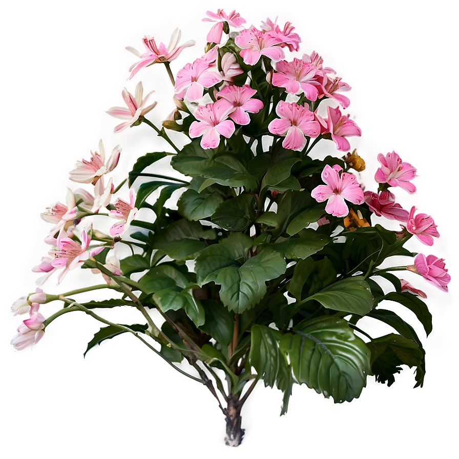 Pink Garden Flowers Png Egd12 PNG