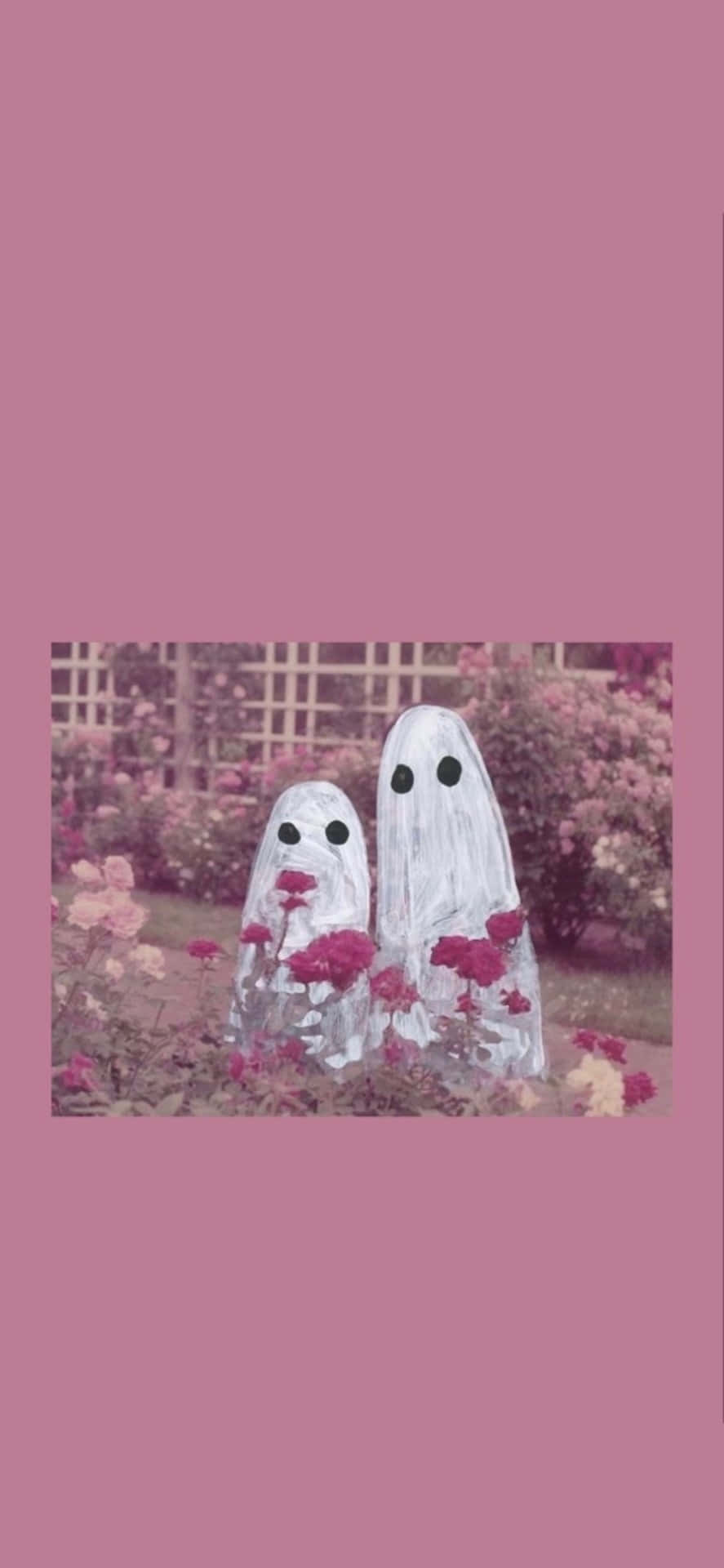 Pink Ghostly Halloween Garden.jpg Wallpaper